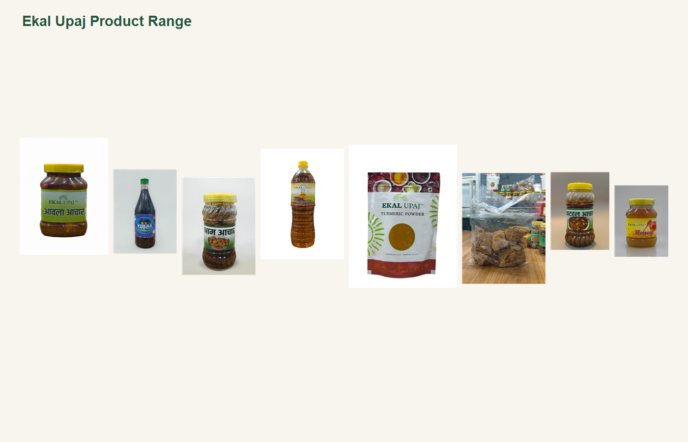 About Ekal Gramothan Foundation